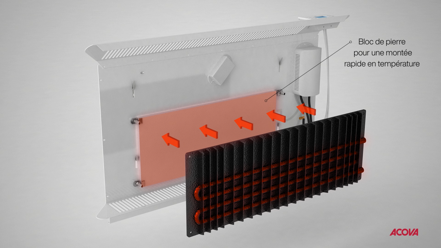 Découvrez le Mara dans cette vidéo détaillée